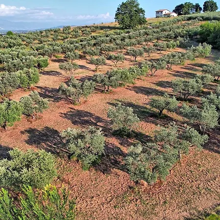 Incanto Della Natura *